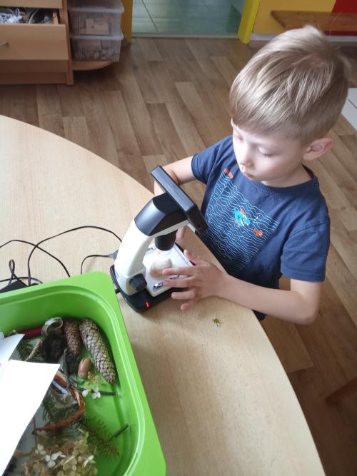 Mikroskop ve školce mám, vše s ním prozkoumám