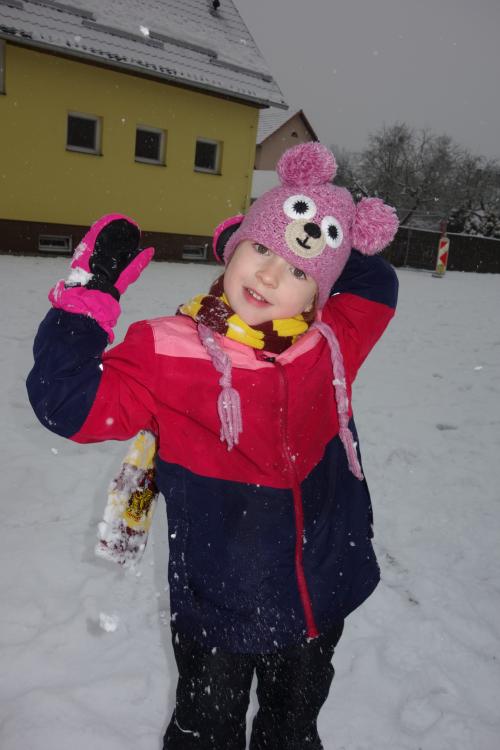 Zimní dovádění